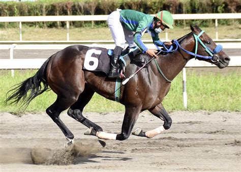 horse racing schedule today philippines|Philippine Racing Commission .